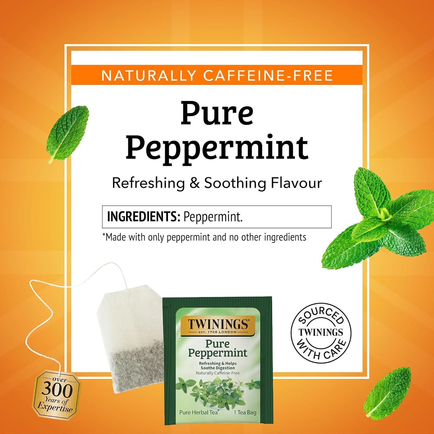 Twinings Pure Peppermint Herbal Tea Individually Wrapped Bags, 100 Count (Pack o
