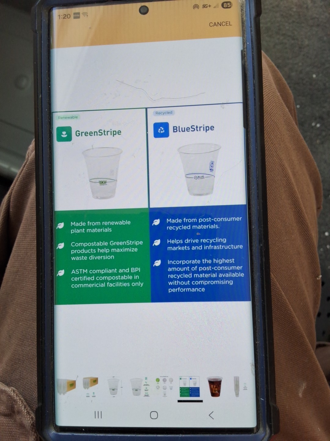 Eco-Products EPCC12GS 12 oz. GreenStripe Cold Cups - Clear (1000/Carton) New