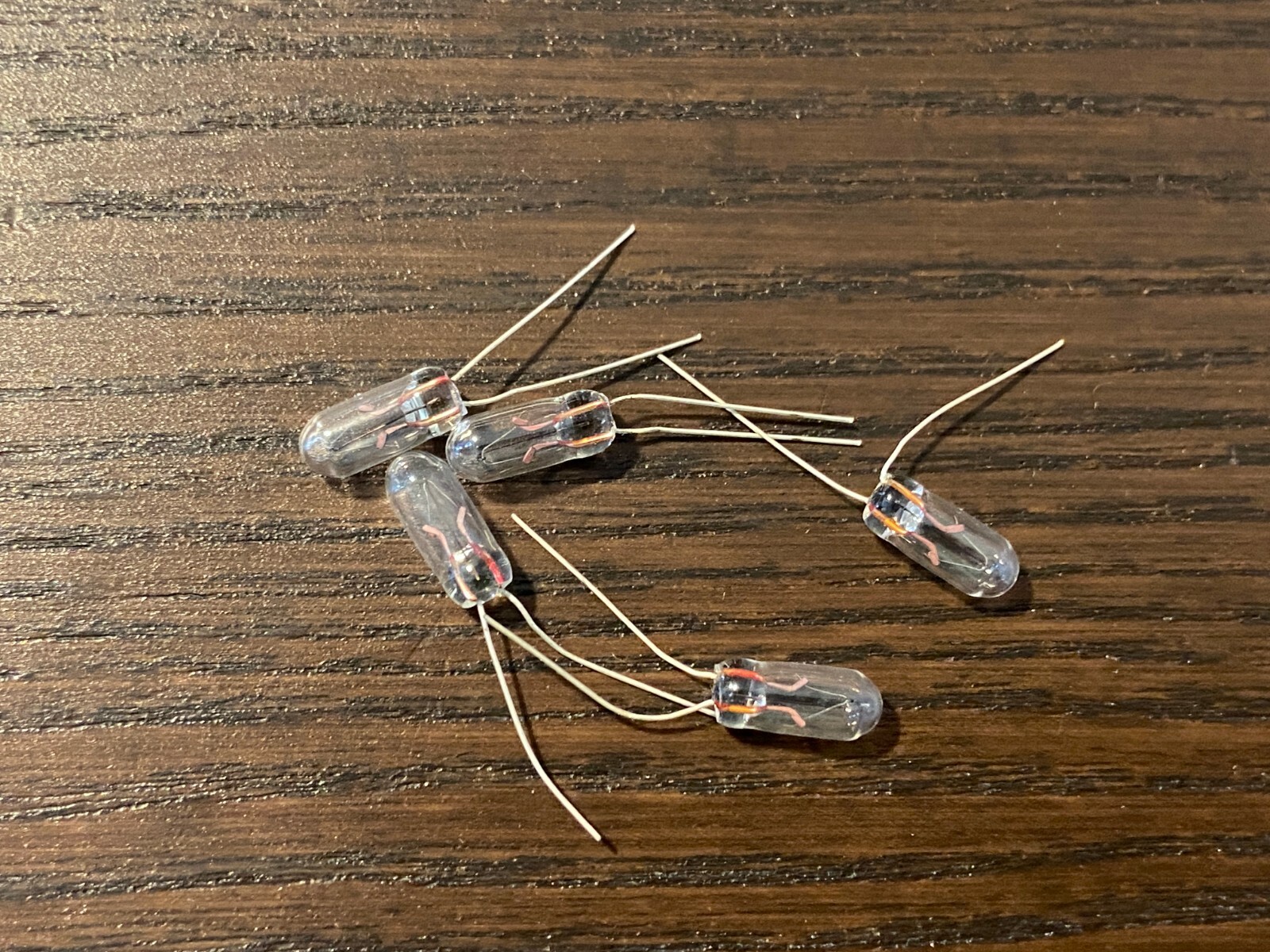 5 New Grain-of-Wheat Bulbs 8v 50mA Lamps Vintage Receiver Lights 4MM