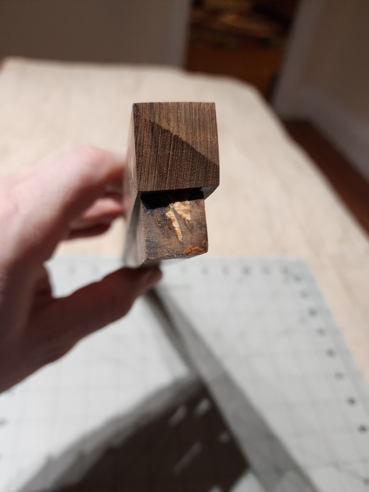 Two Long Pen Or Wand Blanks, Snakewood And Ringed Gidgee