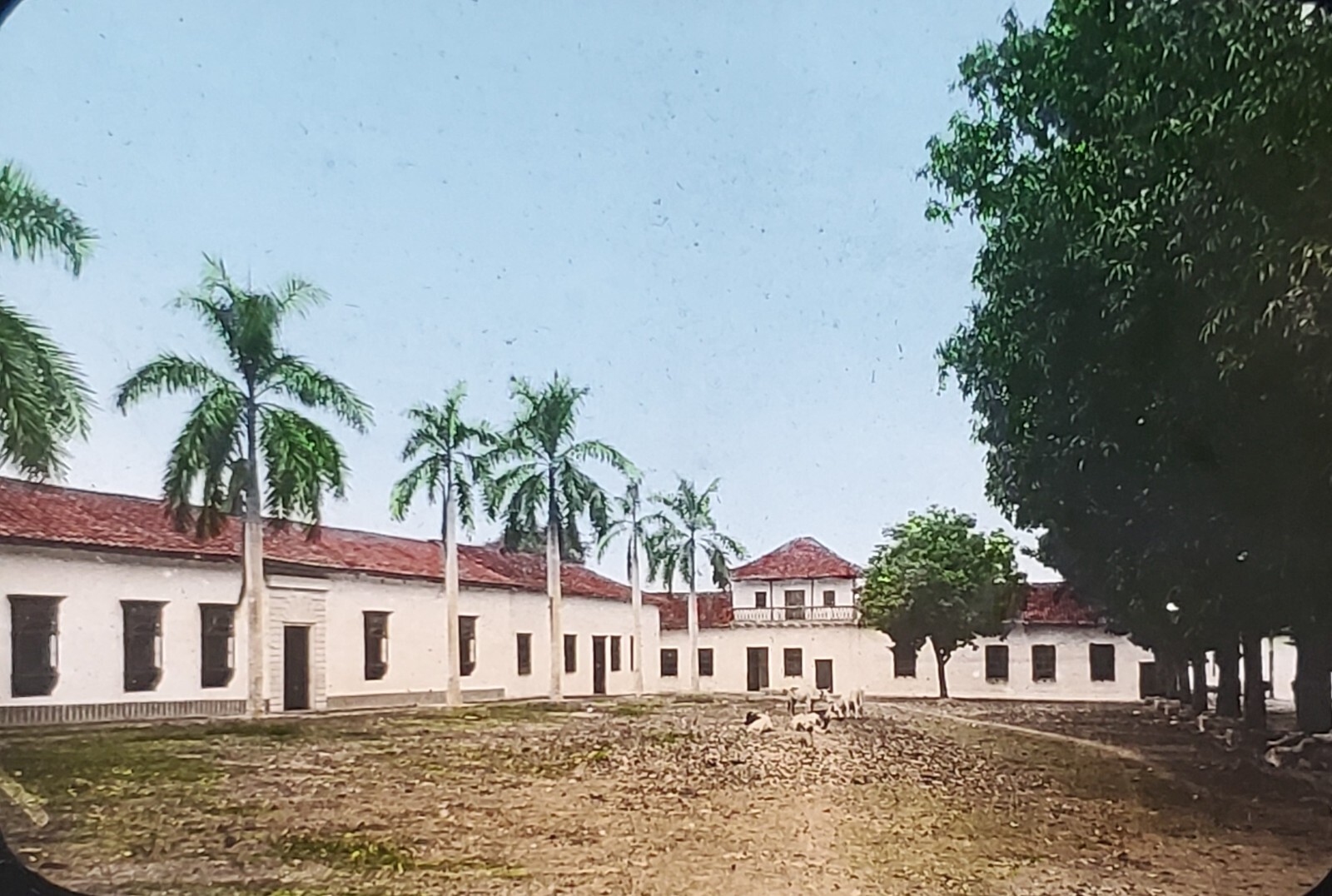 Plaza in Antioquia, Colombia, Foreign Missions Library Magic Lantern Glass Slide