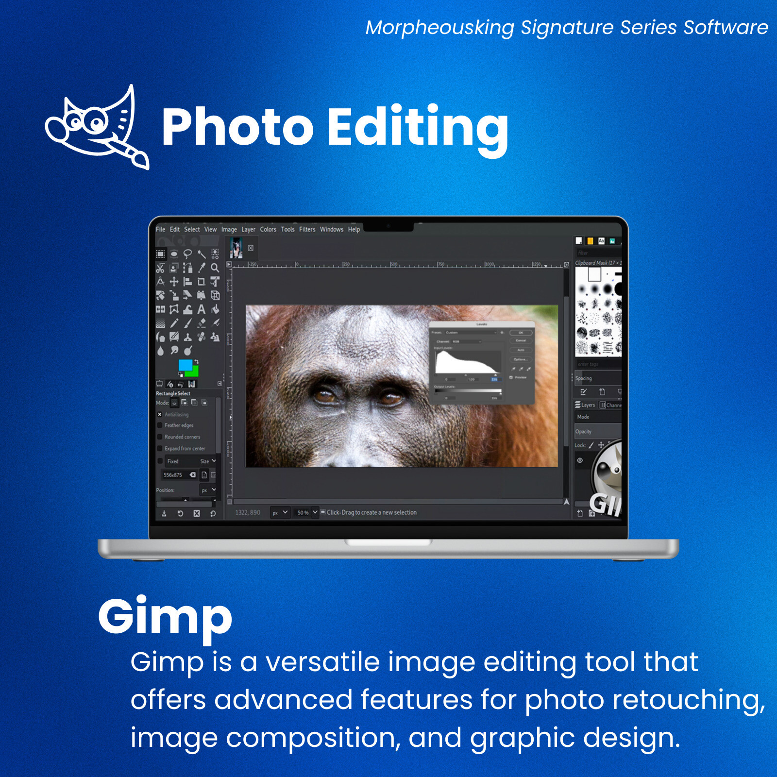 Ultimate Photo Editing Suite for Windows | Digital Image Editor Software