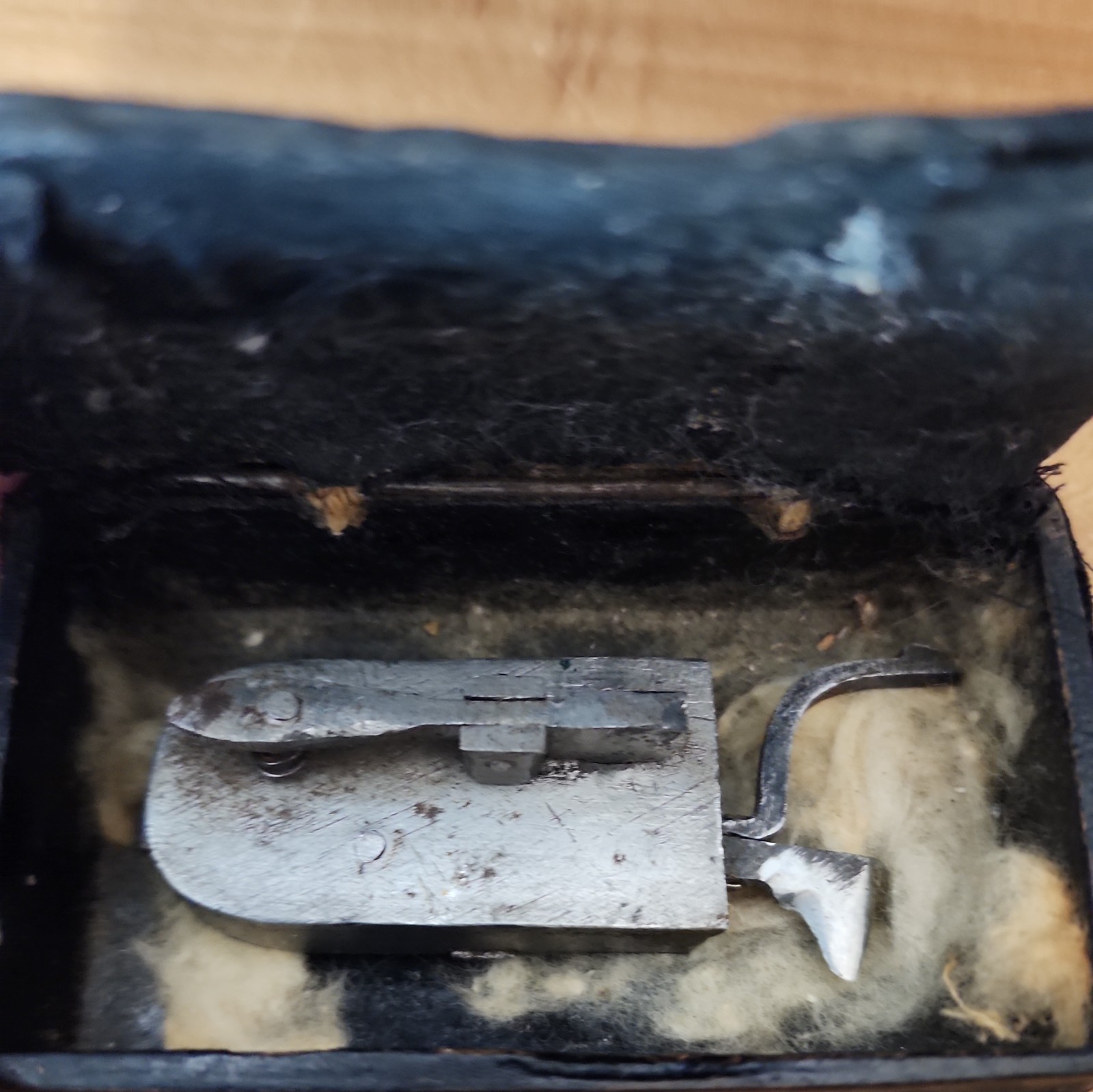 Antique Civil War Era Steel Lancet Blood Letting Fleam Surgical Tool in Case