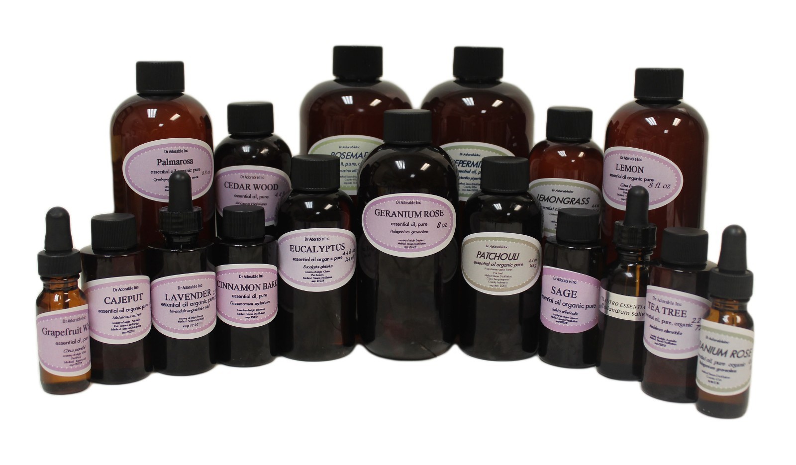 PURE ORGANIC CAMPHOR ESSENTIAL OIL UNCUT 100% PURE FROM 0.6 OZ UP TO 32 OZ