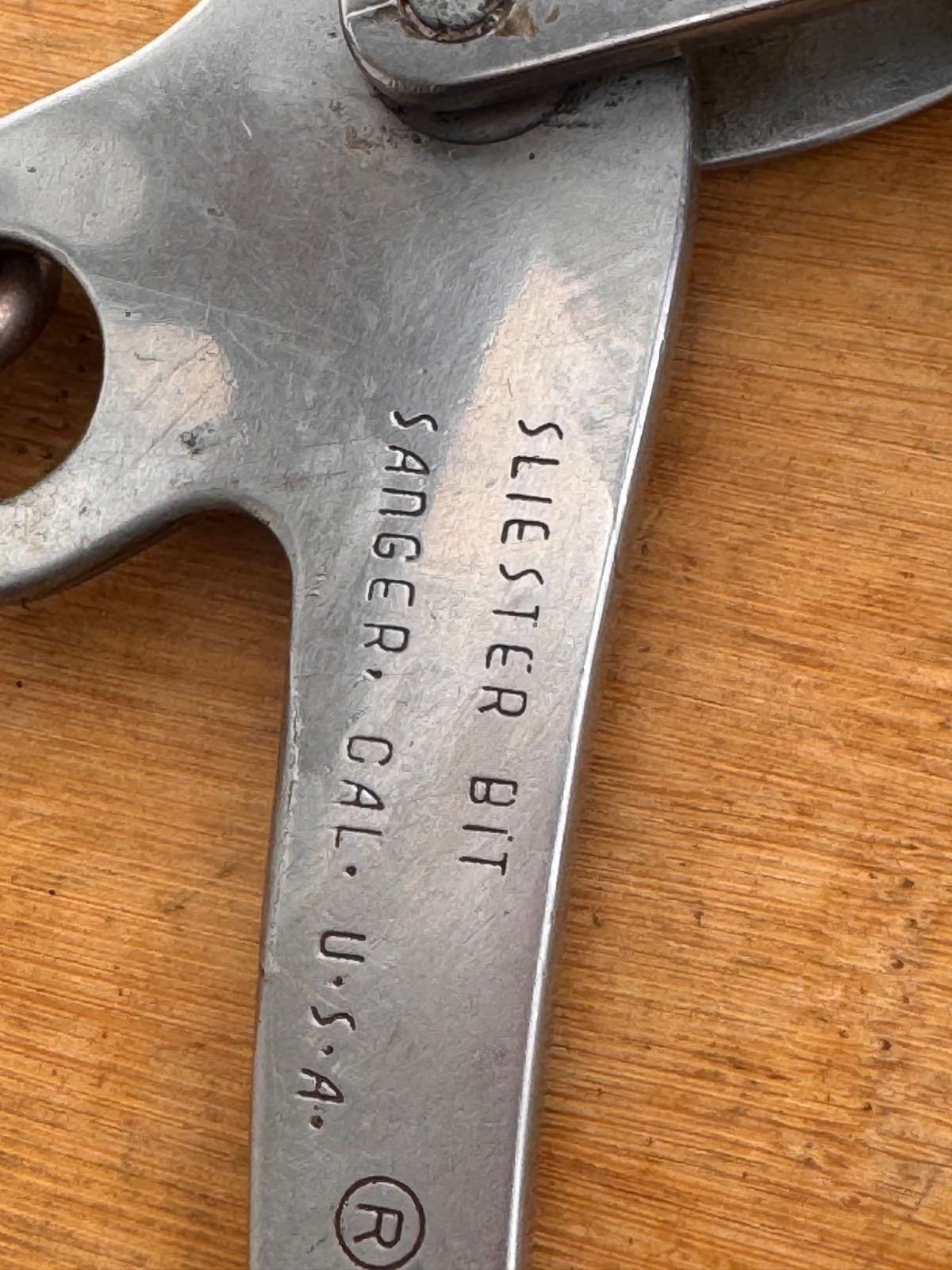 SLIESTER Engraved Surgical Steel Leather Nose Mechanical Hackamore ~ Bitless