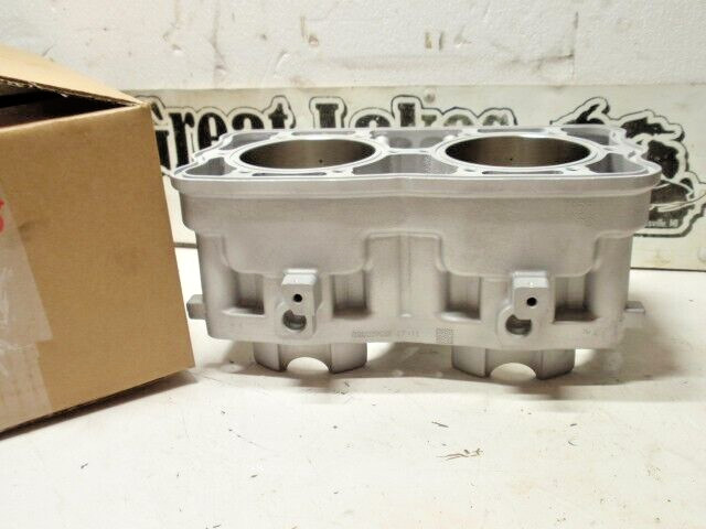 Polaris 800 Cylinder Rush Axys 3022828 3022554 Pro S X Snowmobile $100CoreRefund