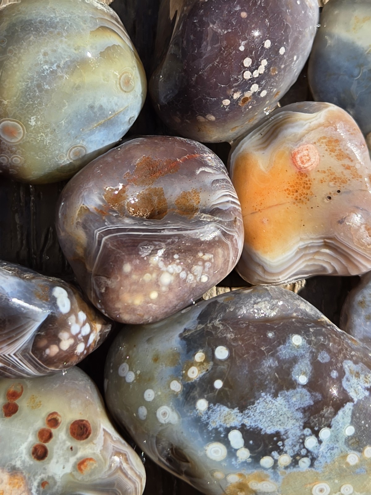 Botswana Agate Selects - DOTS AND SPOTS - Rough, Natural, Not Polished A+ Grade