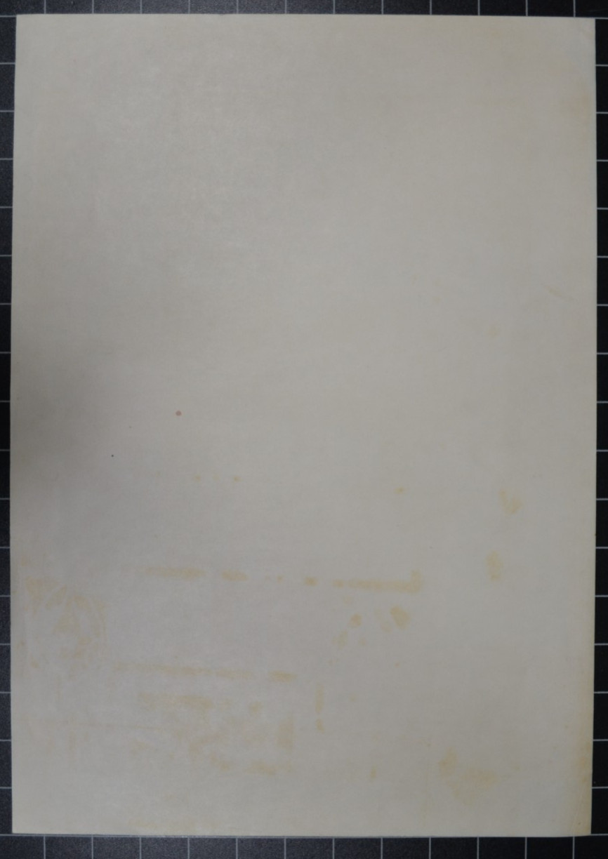 FAMILY DOG 64 - THE DOORS - THE MILLER BLUES BAND - SECOND PRINTING POSTER