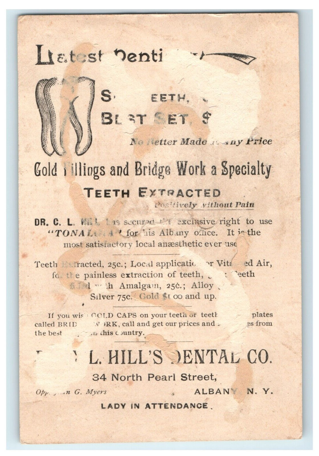 Dr. C. L. Hills Dental Co Albany NY John Myers - Girl Reading Times Paper