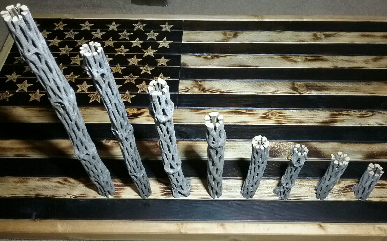 Custom Cut CHOLLA Wood! | PICK A SIZE! | Fish, Shrimp Aquarium | Decor, Crafts