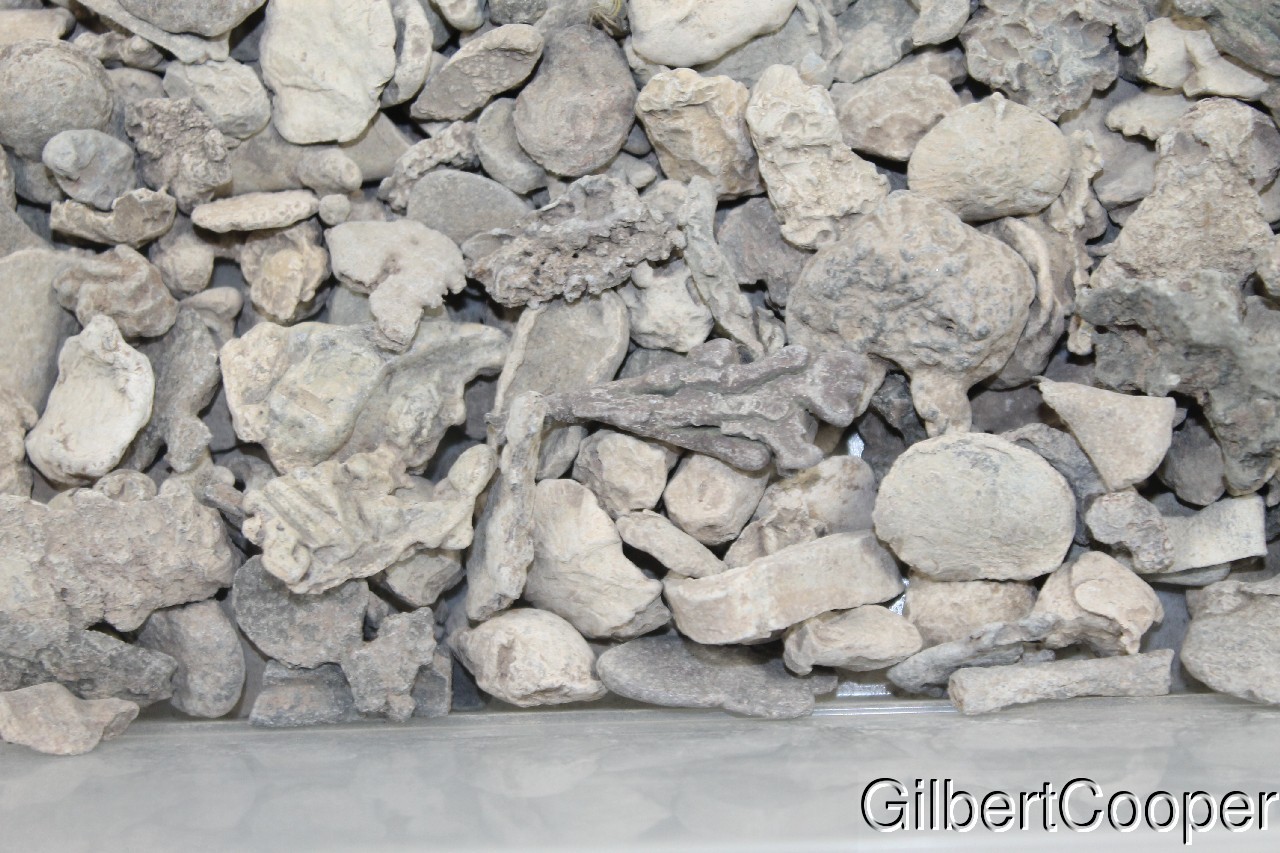 ONEIDA INDIAN LEAD SCRAP - SELLING 1 PIECE AT A TIME