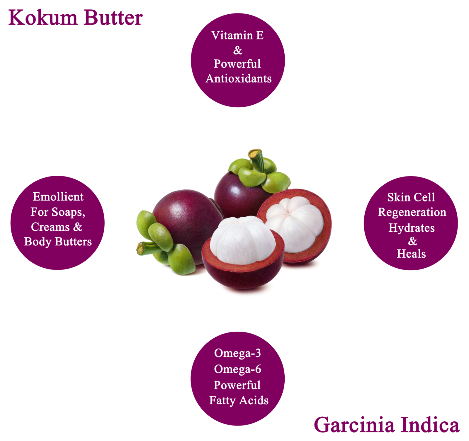 Raw Kokum Butter 100% Pure Natural Organic Cold Pressed Bulk Wholesale