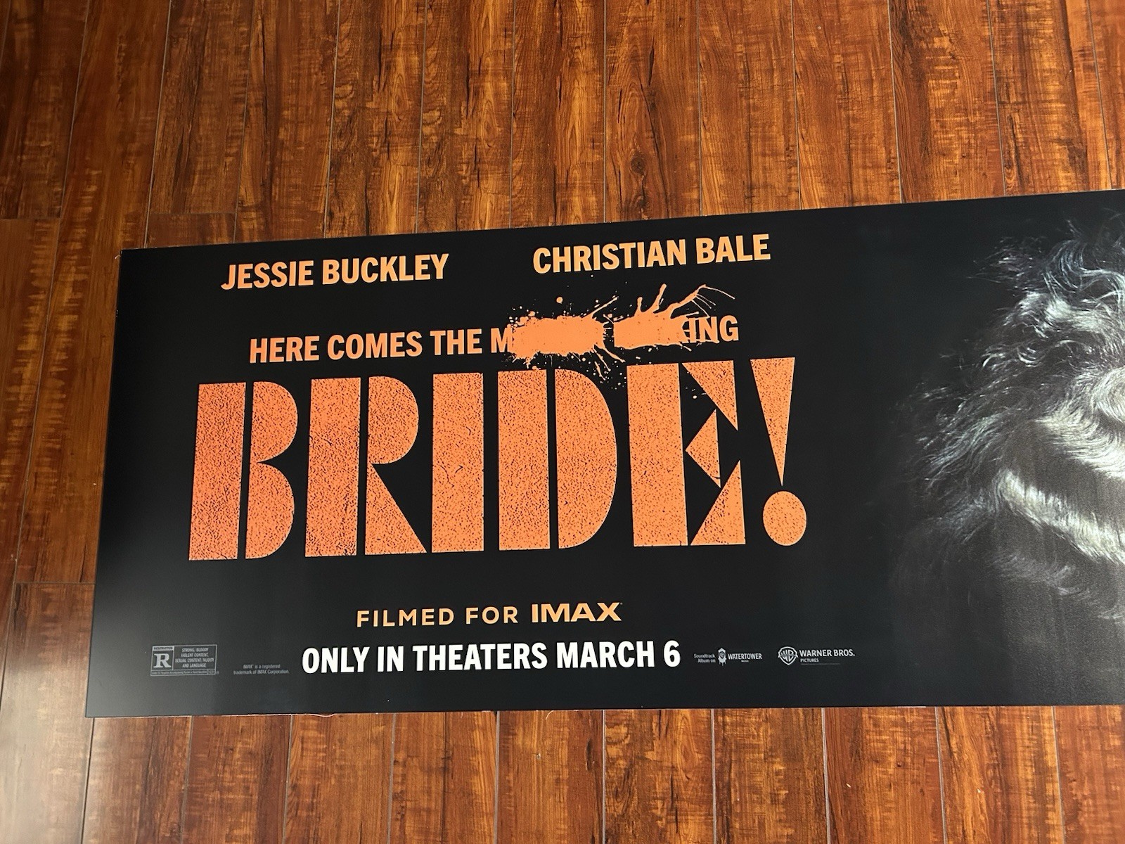 The Bride 2026 Dr.Frankenstein Horror/Sci-fi Film BUS BENCH MOVIE POSTER
