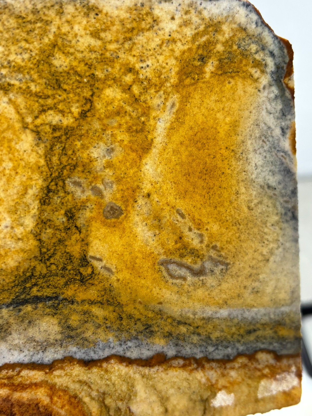 Disaster Peak Picture Jasper Slab Cabbing Lapidary Collecting Combo Ship Avail