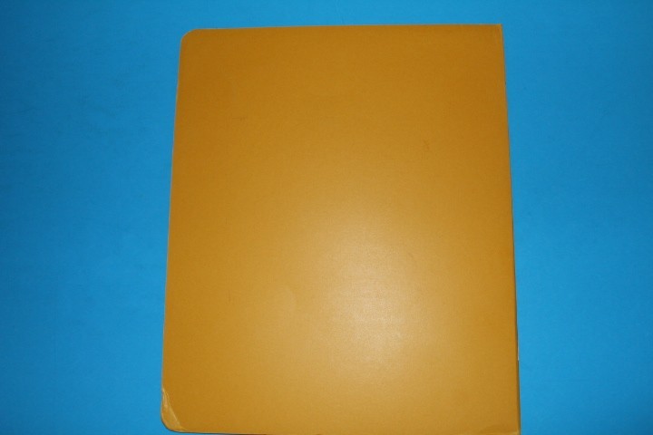 CMC Mint Sheet File Capacity 16 pgs 3 pocket 11.5" x 9.5" BlueLakeStamps CLEAN