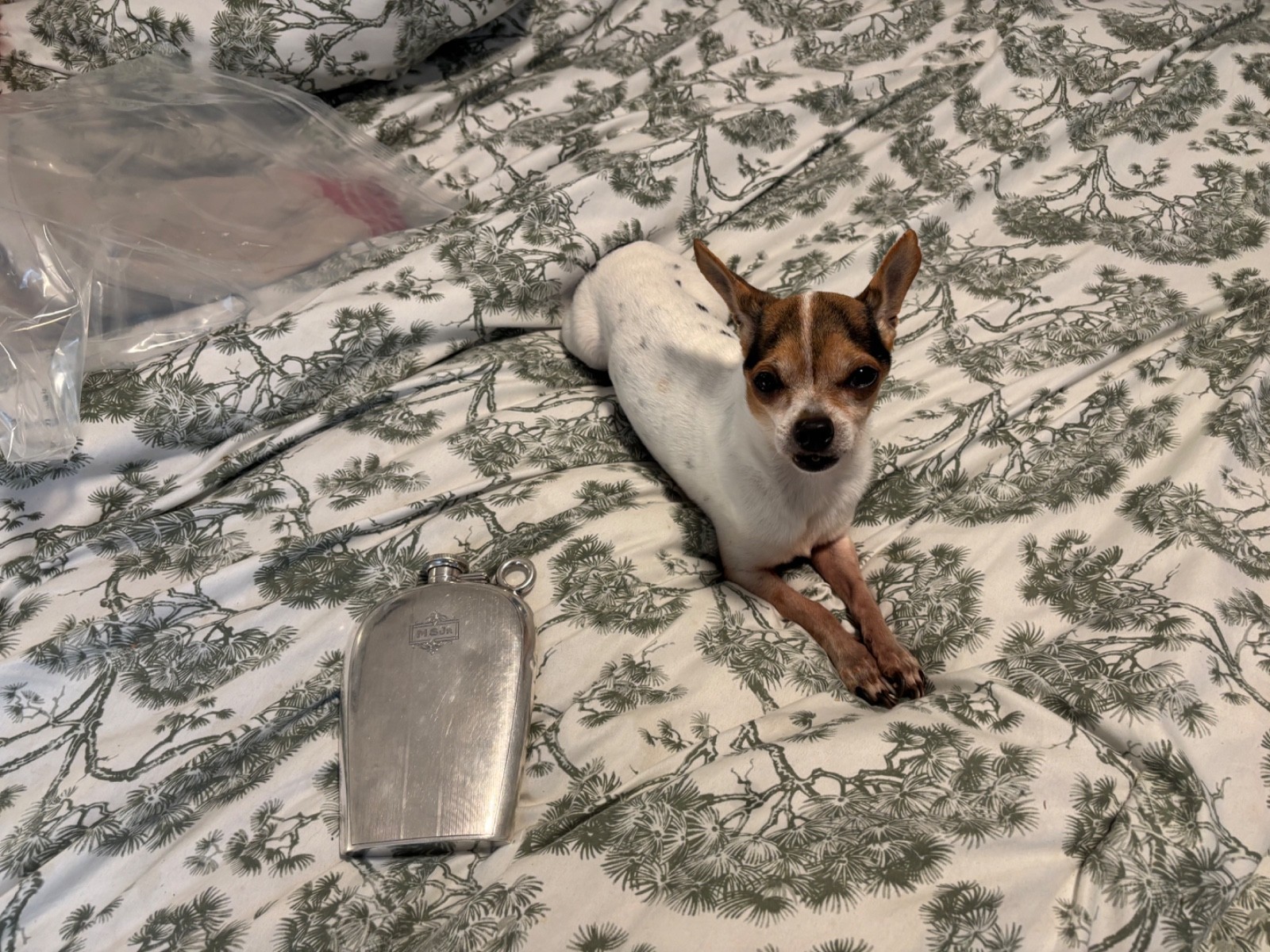 Sterling Silver Liquor Flask 6 Standard Ounces