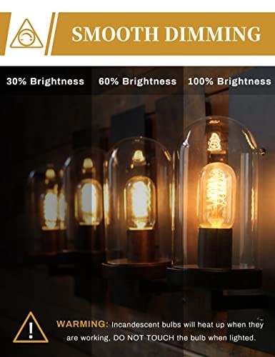 Edison Bulbs, Vintage Edison Light Bulbs 4 Count (Pack of 1) 2700k Amber White