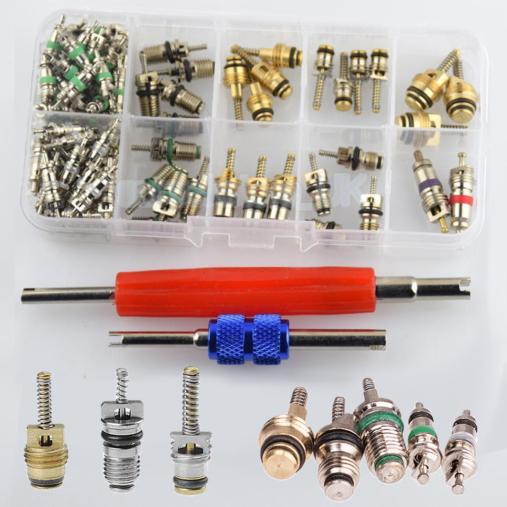 102pcs Car R12 & R134a A/C Air Conditioner Schrader Valve Core Remover Tool Kit