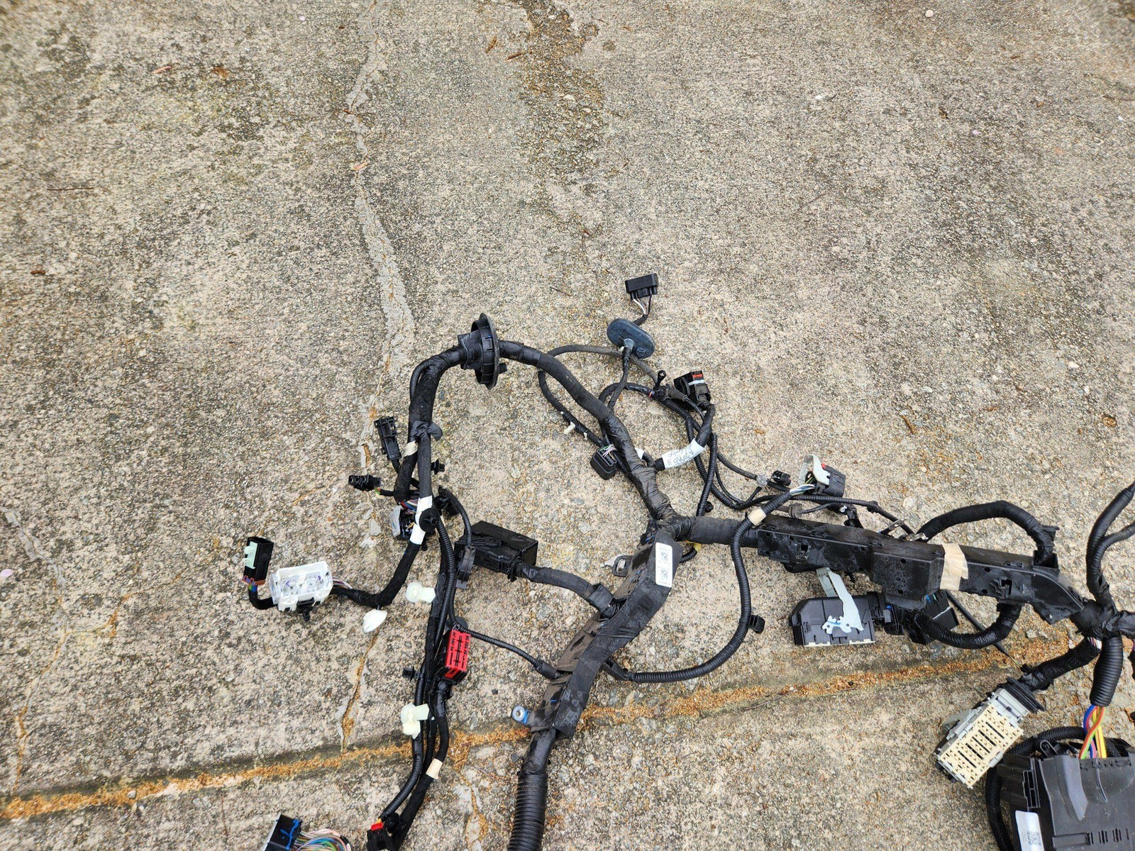 2021 - 2023 FORD MUSTANG MACH-E AWD ENGINE WIRING HARNESS OEM