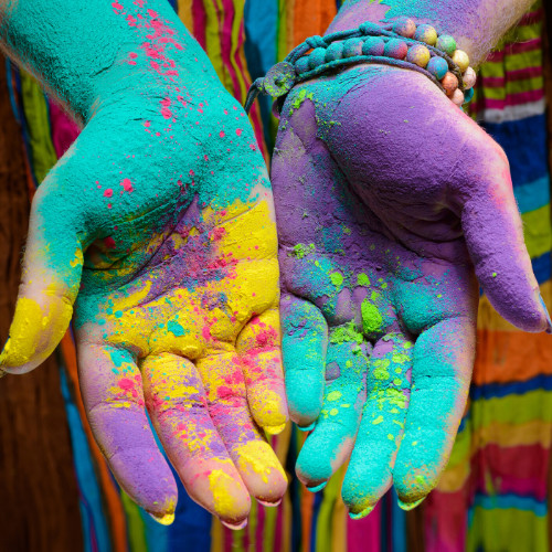 1 Pound Bags - 8 lbsTotal Backyard Color Fun Powder Perfect for Color Wars, Runs