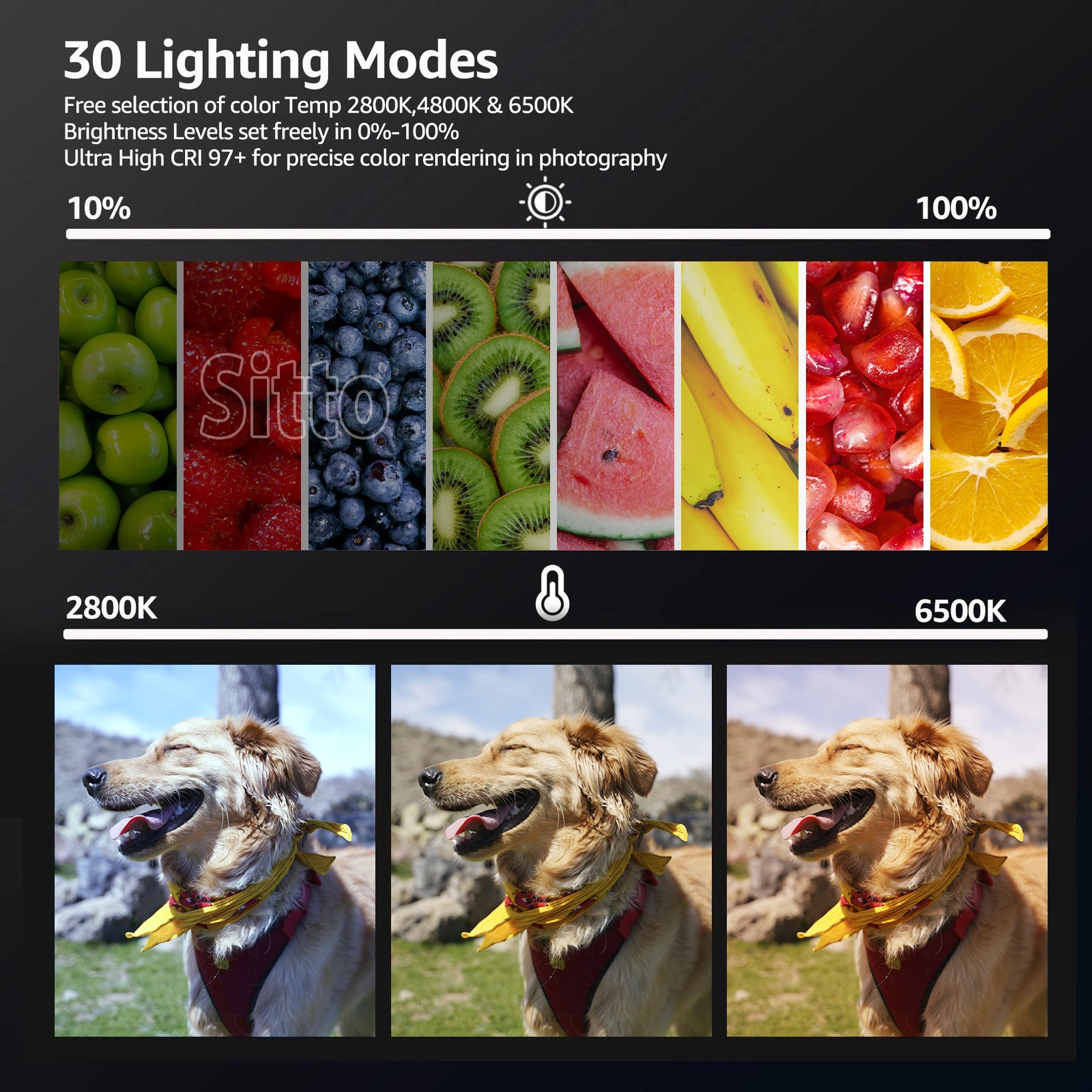 2x LED Video Light Kit Studio Dimmable Photo Tripod Photography Lighting Kit