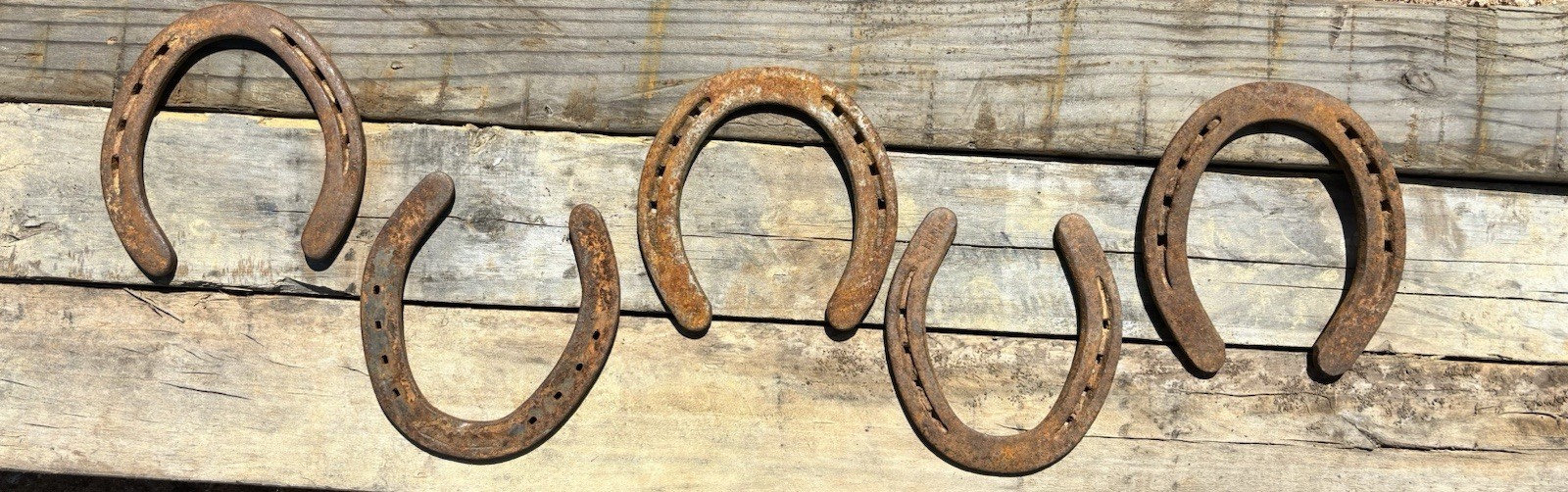 Real Full-Size Horseshoes for crafts or home décor! from North Carolina