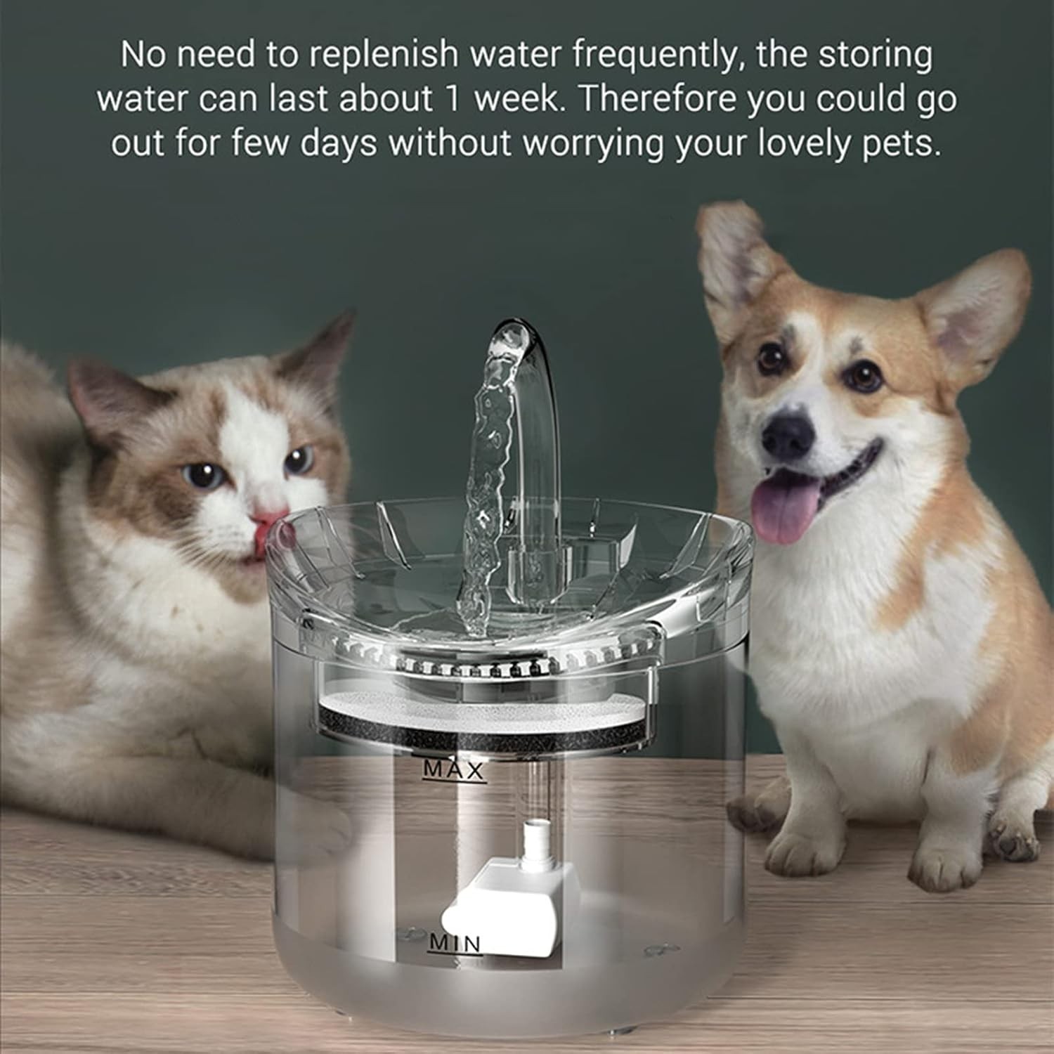 Cat Water Fountain Stainless Steel 61oz/1.8L Automatic Pet Dog Water Fountain