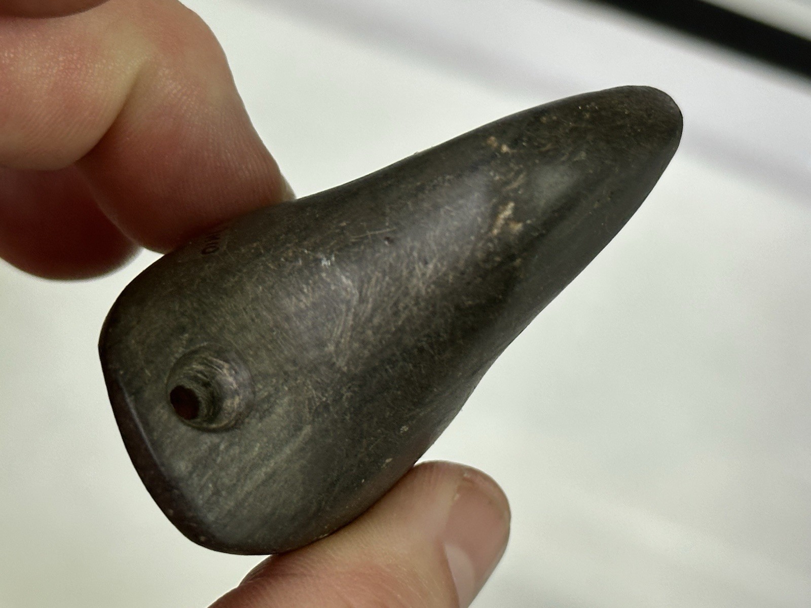 RARE AUTHENTIC BANDED SLATE BIRDSTONE FROM ASHLAND CO. OHIO, MOTLEY COA