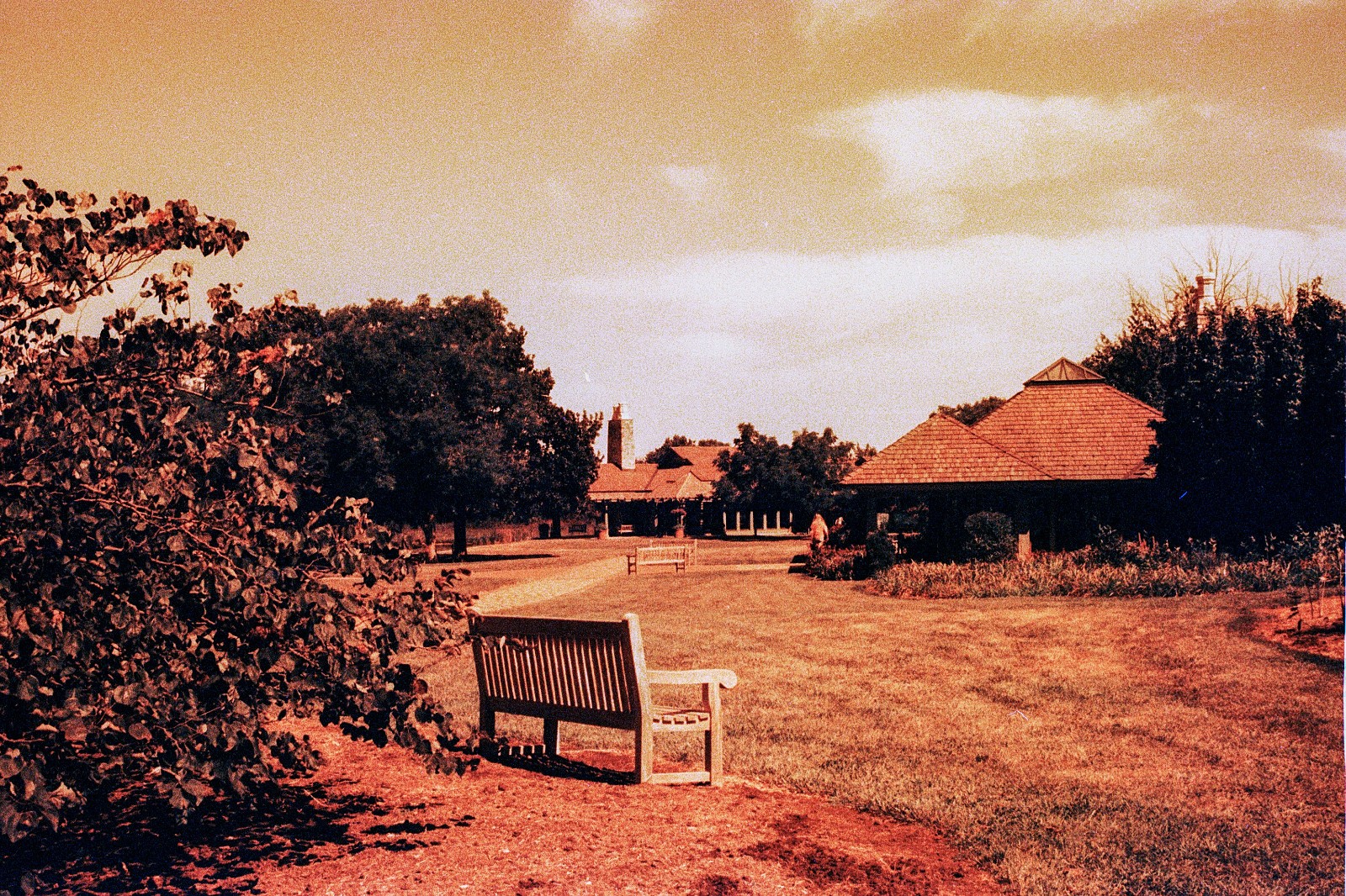 THE MARS PROJECT - BRAND NEW 35mm Color Negative Film 80 ISO - Experimental Fun