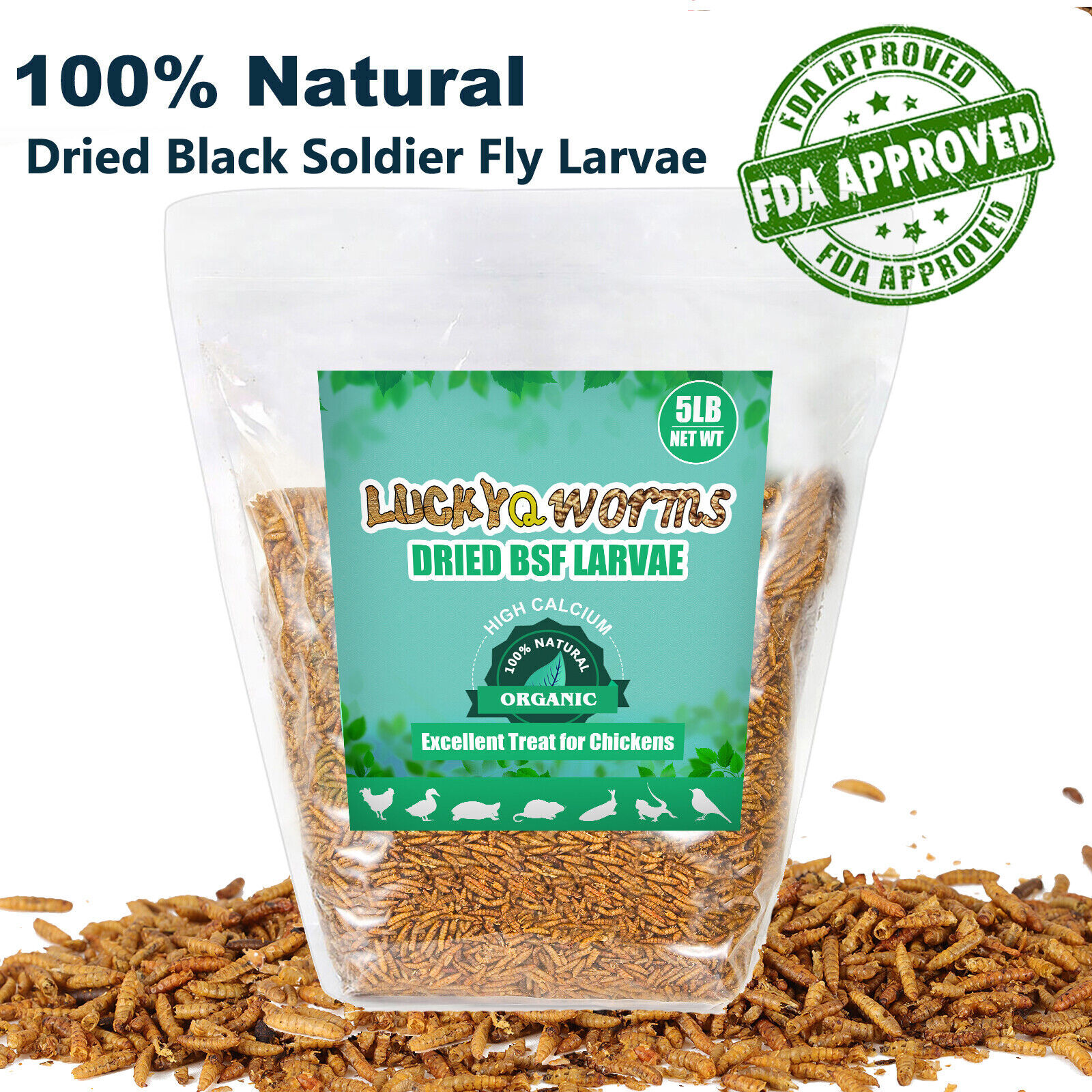 Dried Black Soldier Fly Larvae Mealworms for Chickens Fish Turtles Hen Birds LOT