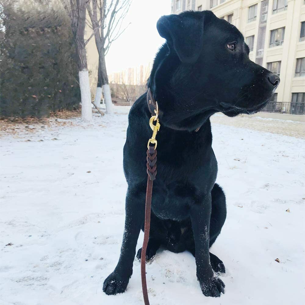 Genuine Leather Dog Leash Braided Heavy Duty Training Lead for Medium Large Dogs