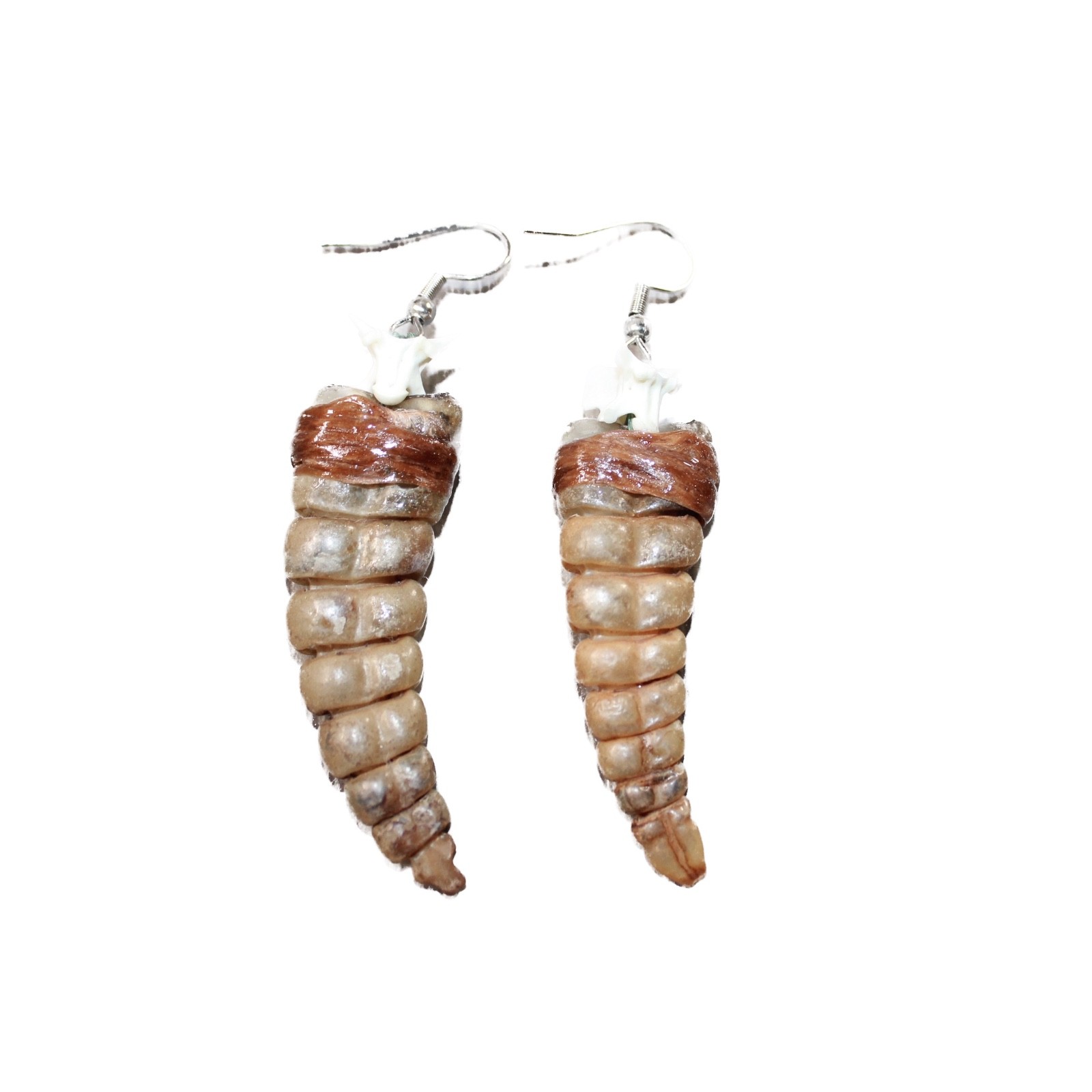 Large Rattlesnake Rattle Earrings #4562 Mountain Man Earrings