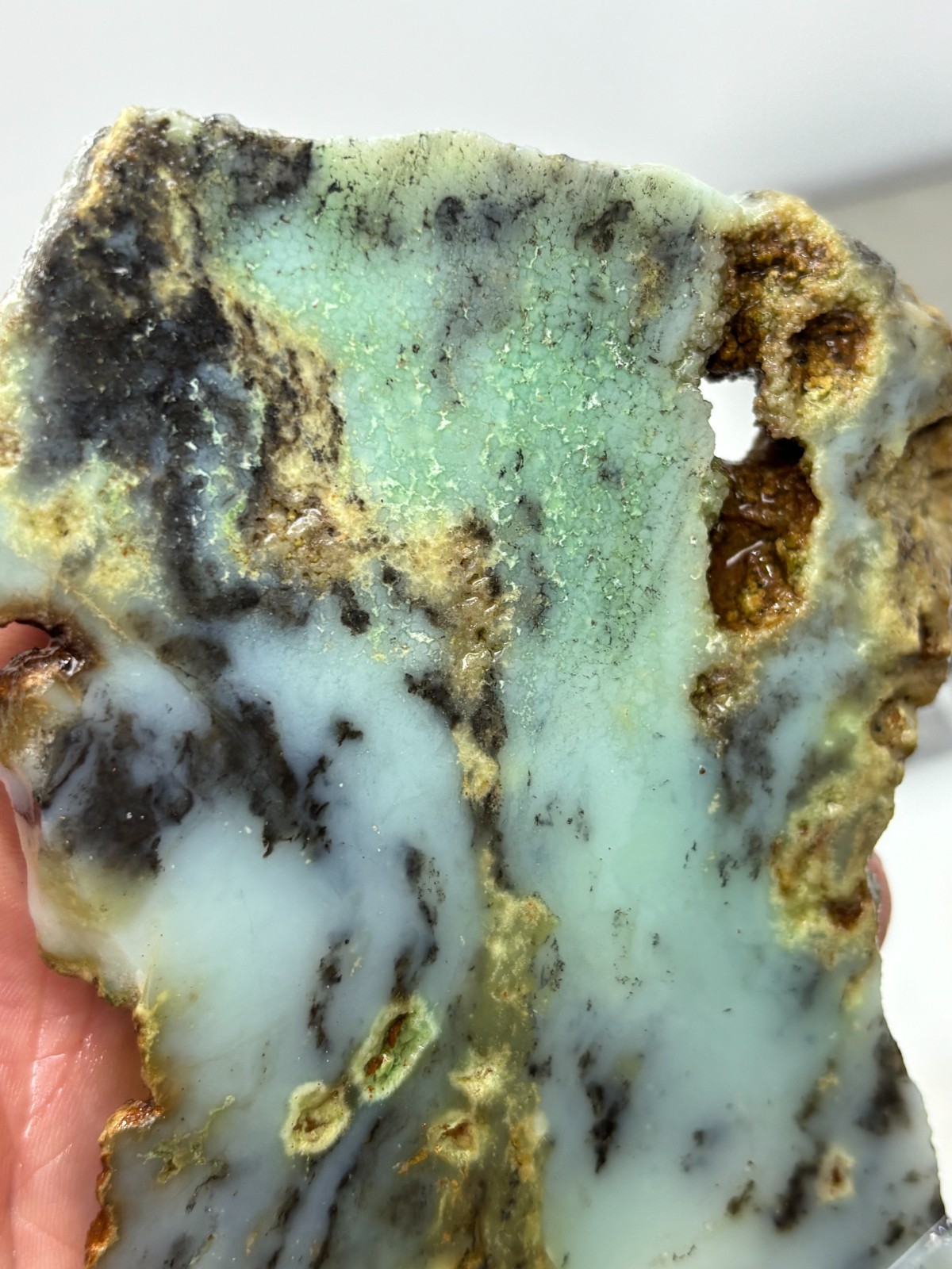 Indo Dendritic Chrysoprase Slab Cabbing Lapidary Collecting Combo Ship Avail