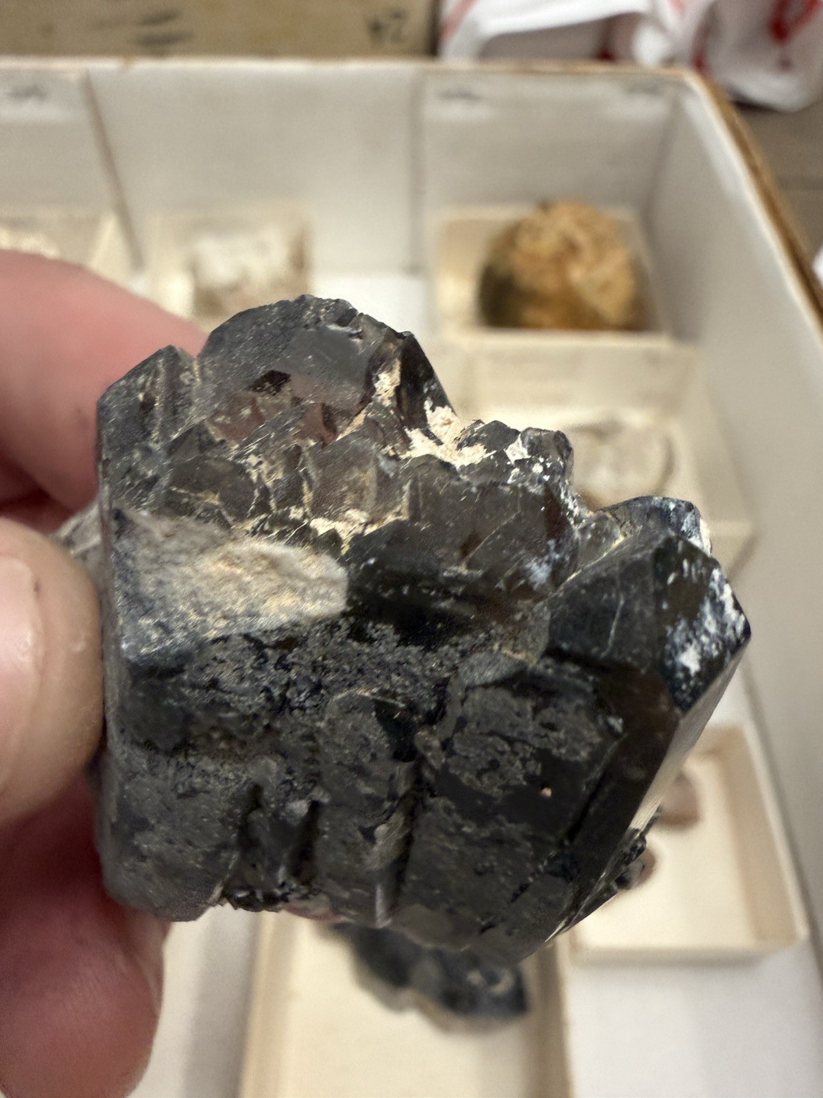 over 20 tourmaline specimens pala chief mine ca little three