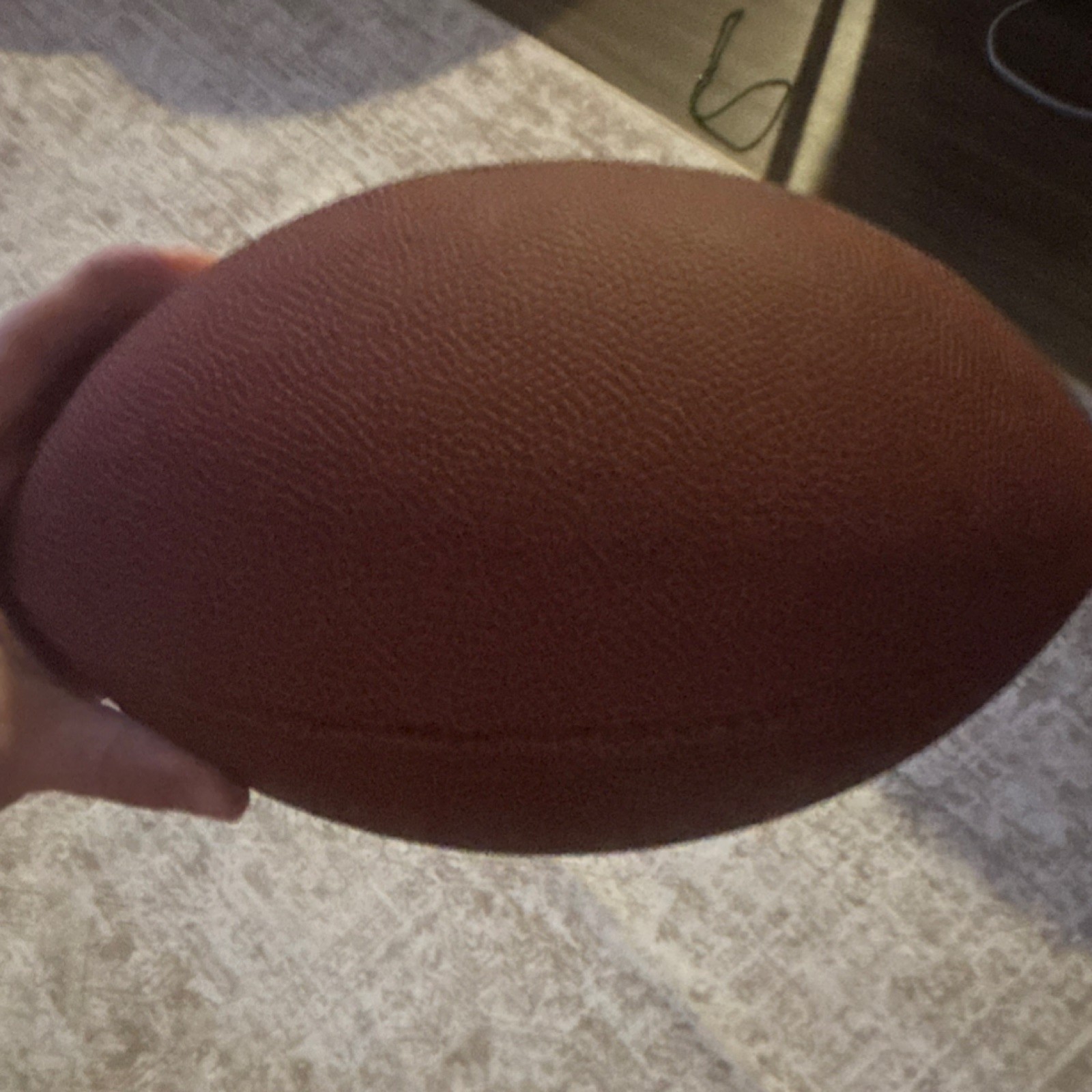 Wilson TDY Football New Football with Free Shipping