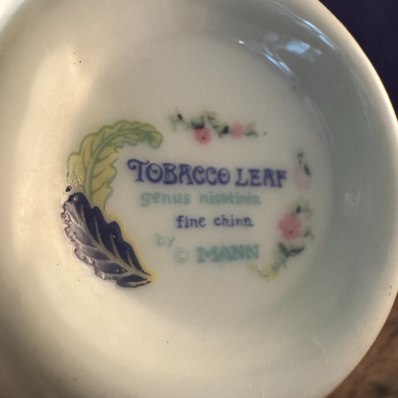 Vintage Tobacco Leaf Genus Nicotinia By Mann China Mug