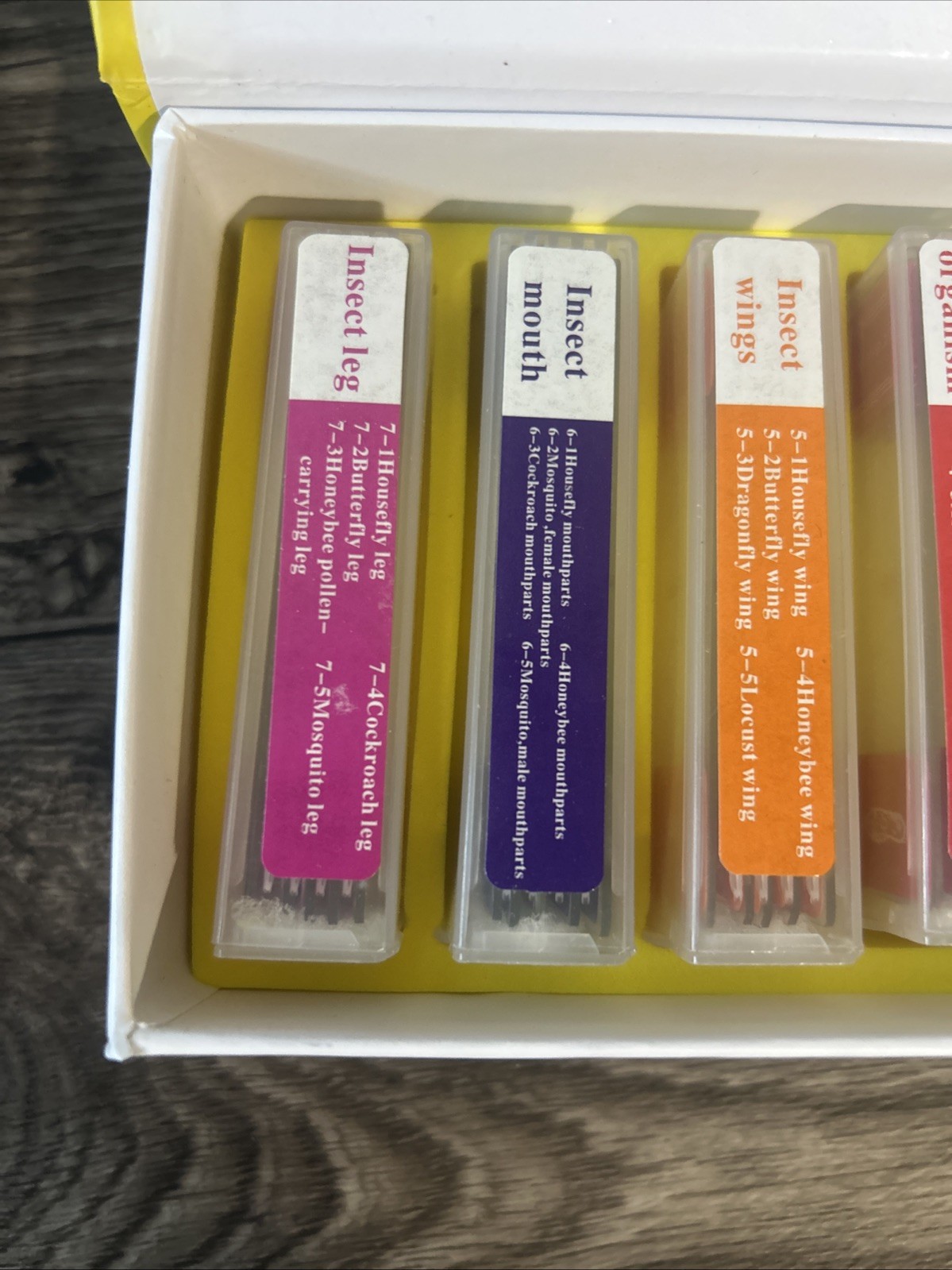 35pcs Biology Glass Prepared Microscope Slides Lab Specimens Accessories