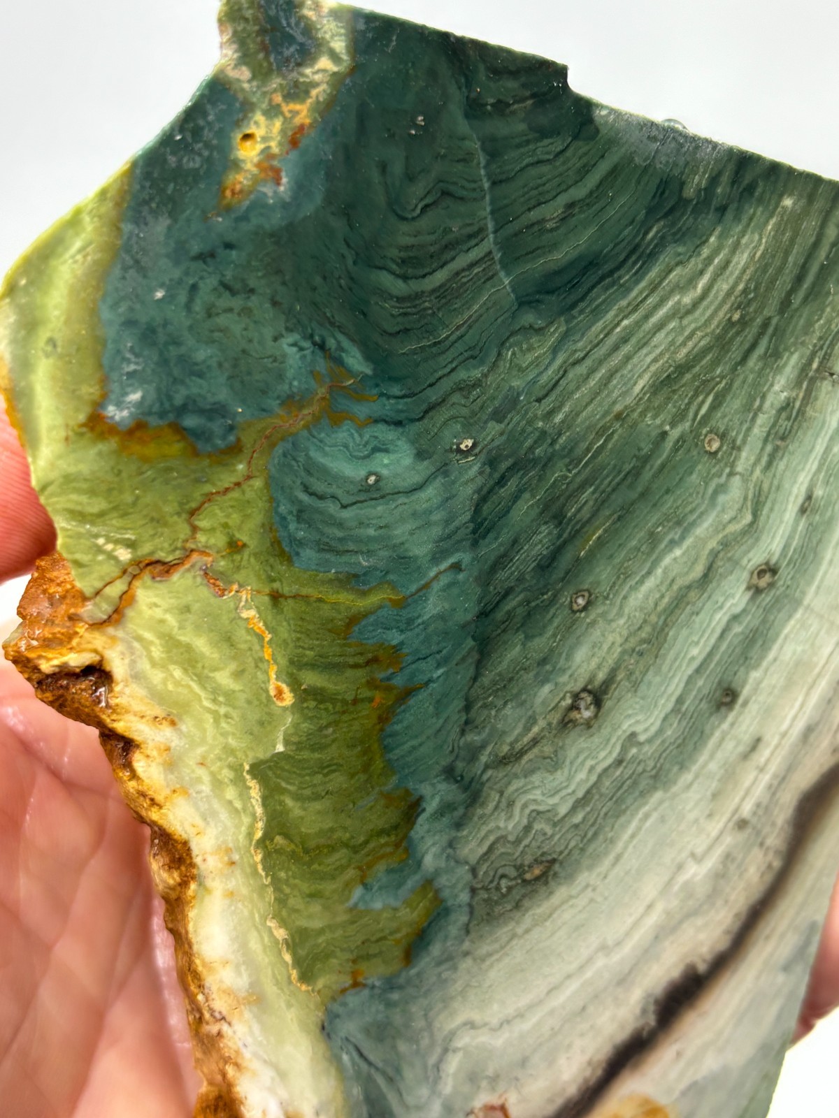 Gary Green Caldera Freedom Jasper Slab Cabbing Lapidary Combo Ship Avail