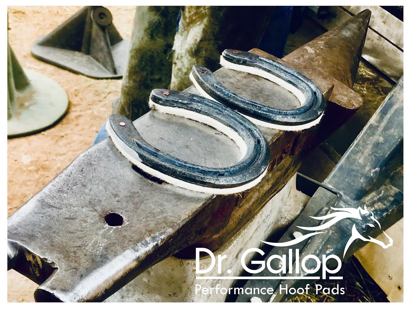 Horse Shoe Felt Pads