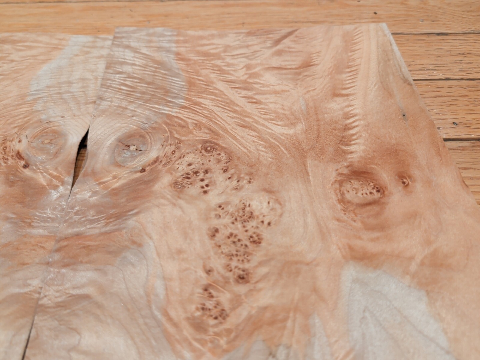 Maple Burl veneer 2 pieces 8" x 10 1/8" each raw 1/42" wood Buckled