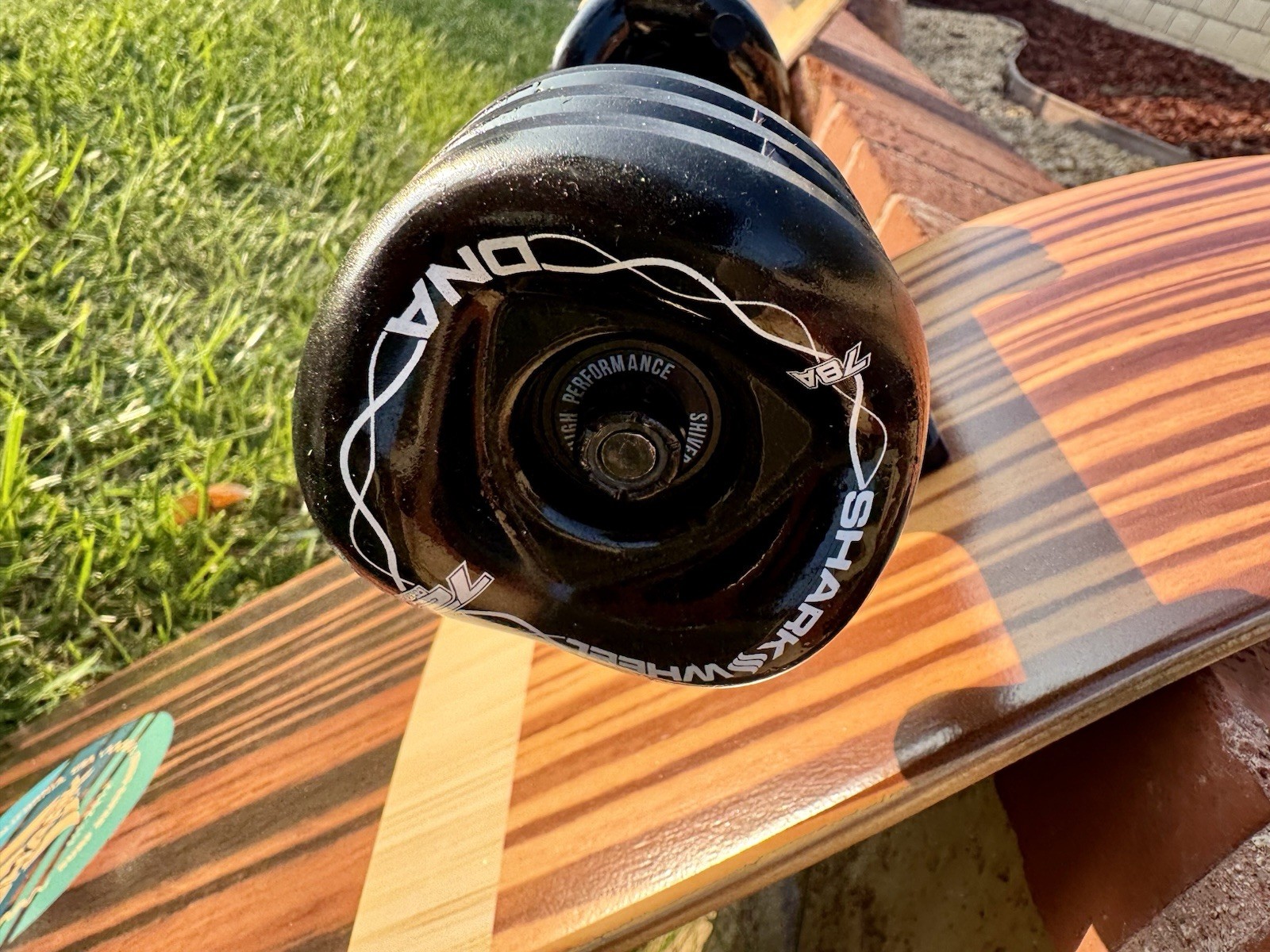 Carve Life Surfskate Comes with 72mm DNA Shark Wheels. MADE IN USA.