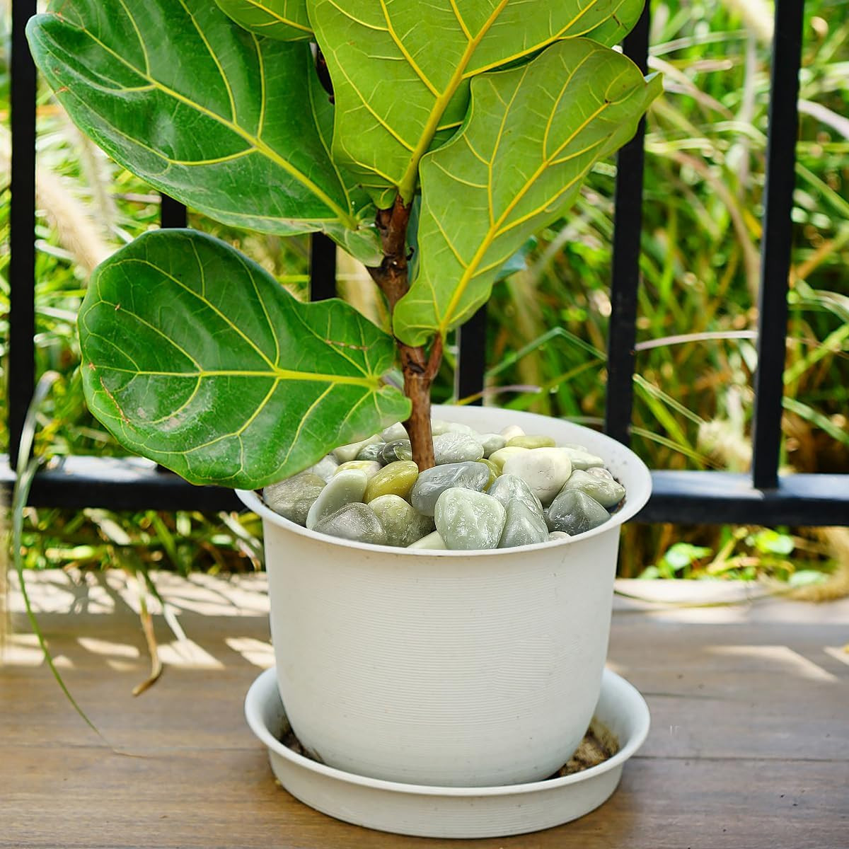 2Lbs Jade Pebbles for Plants, 1-2 Inch High Polished Natural River Rocks for Lan