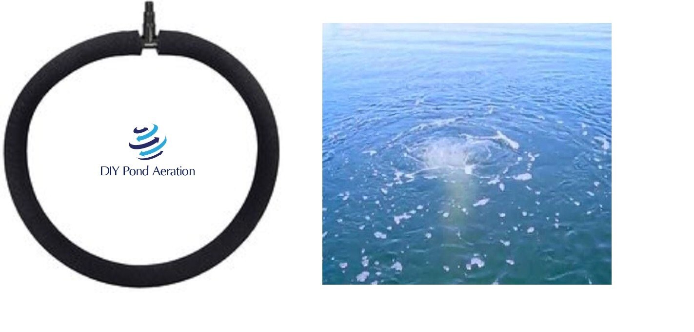 Pond Aerator Diffuser 16" Diameter Ring Aeration Fine bubble 3/8" inlet
