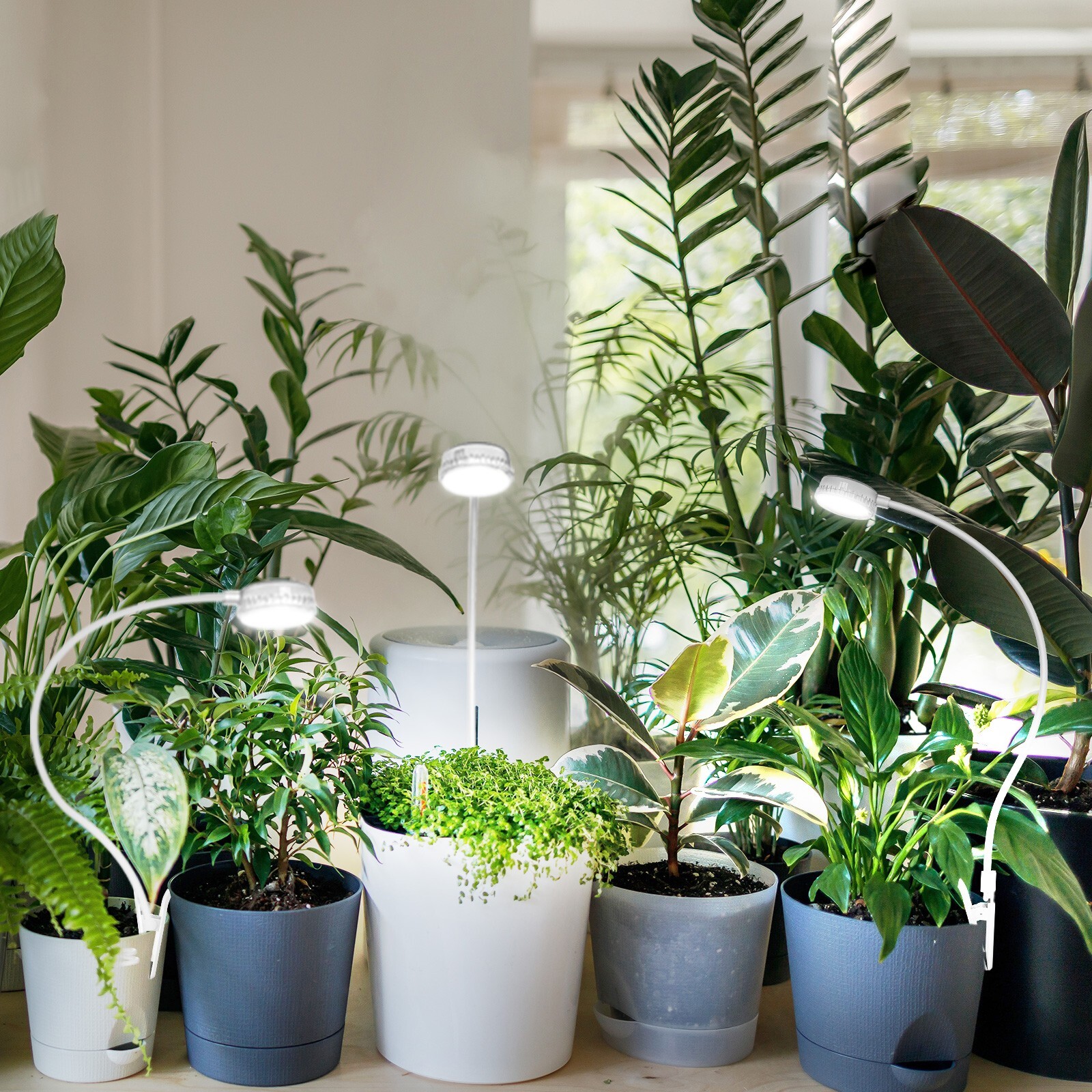 SANSI LED Grow Light Full Spectrum Plant Growing Lamp Houseplants with Timer