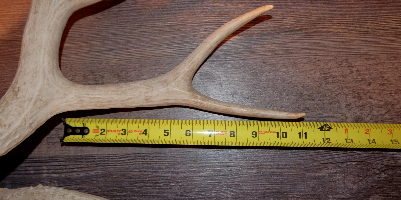 Nice Set Mule Deer Antlers Sheds Taxidermy Mount Cabin Decor Buck Horns