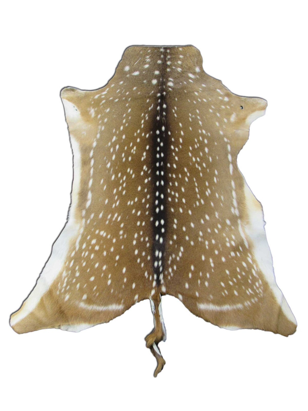 Axis Deer Skin Hide Average Size: 37" X 30" Top Grade Axis Deer Hide Top Grade