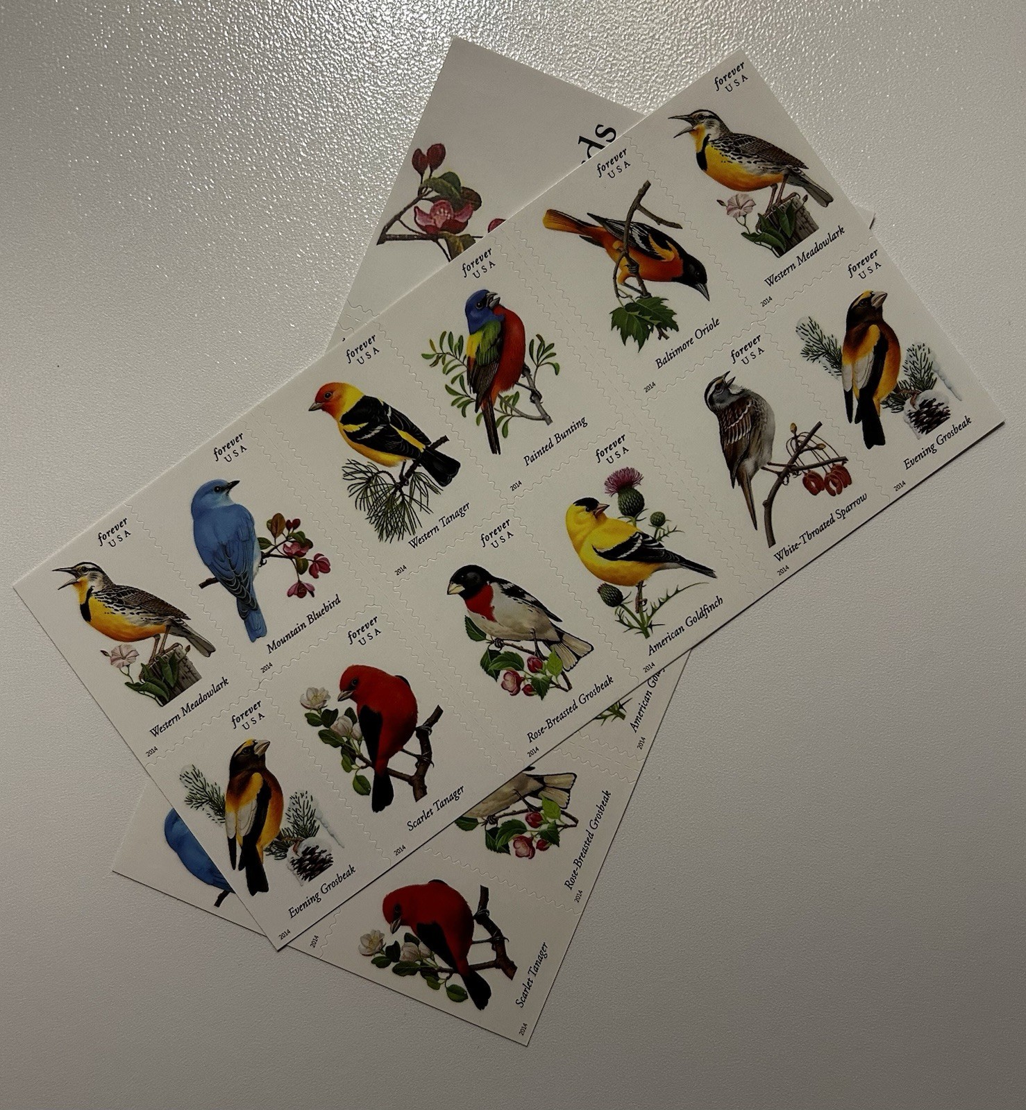 40 Songbirds Forever Stamps, Out Of Print, Scott 4882, FREE SHIPPING, Spring