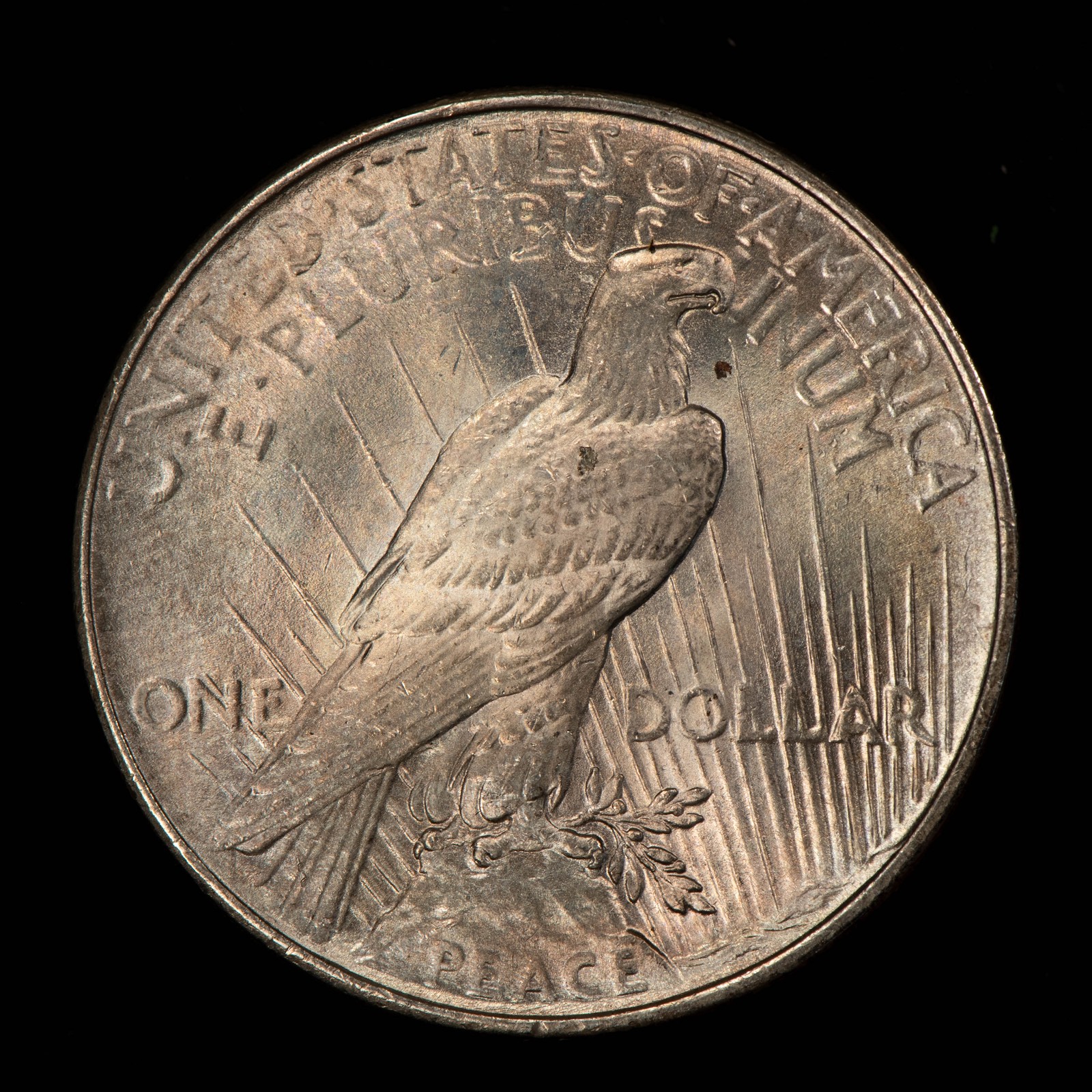 1924 $1 Silver Peace Dollar - Luster - Deep Rainbow Pattern Toning - SKU-D7665