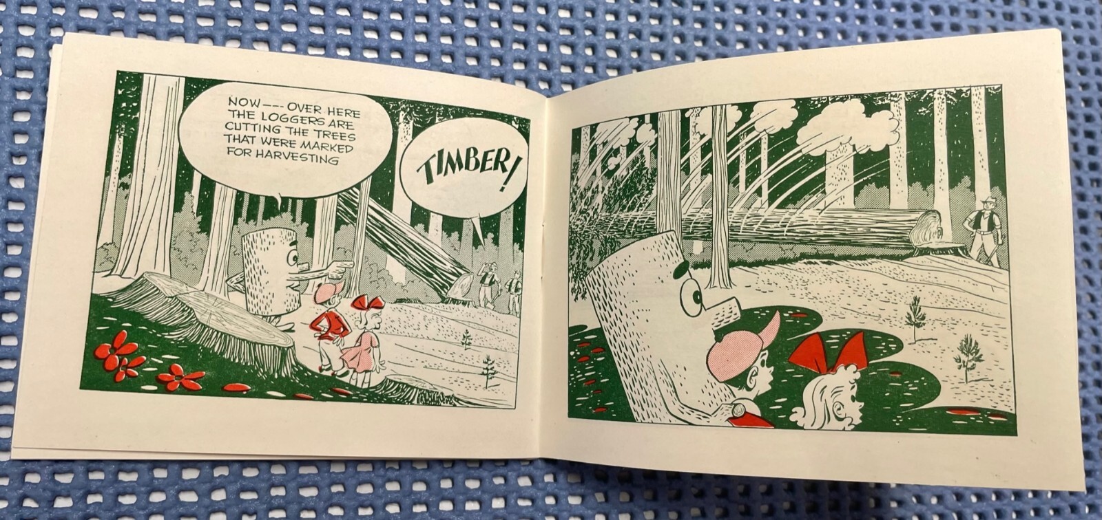 Michigan WOODYs "A VISIT TO THE FOREST" Booklet NOS 1940s-50s Smokey the Bear