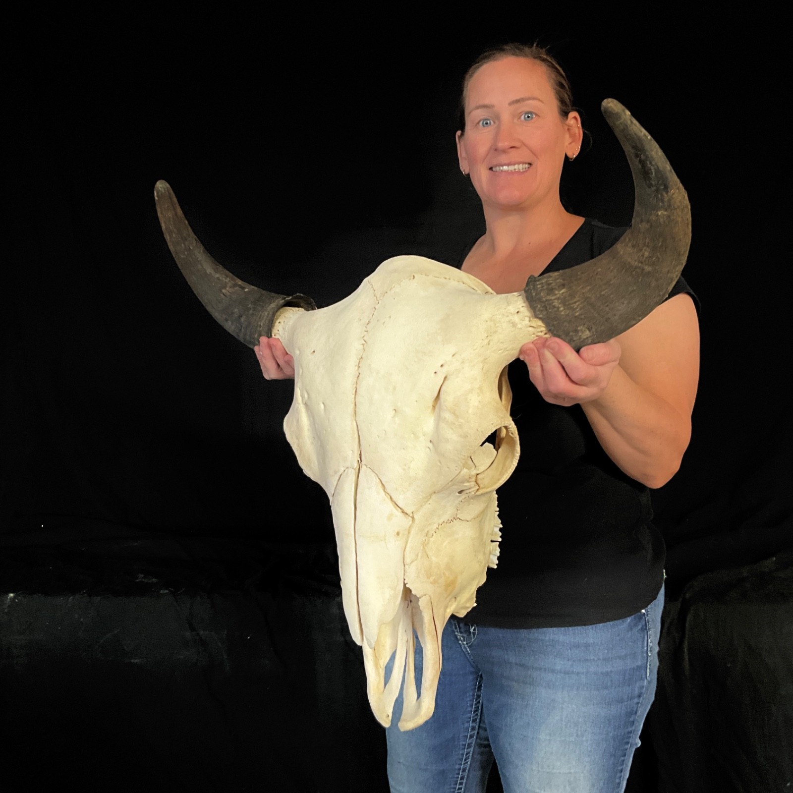 Buffalo skull Rustic decor taxidermy 373